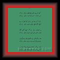 Aftqar Shafi 04 * 22.03.2008 * 520 x 874 * (36KB)